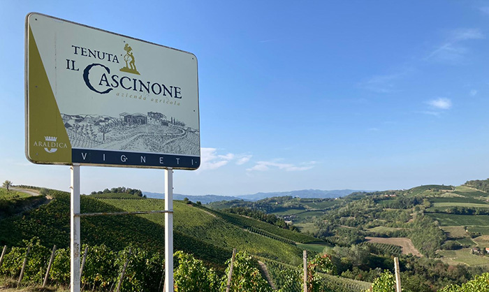 Il Cascinone Sign and Vineyard