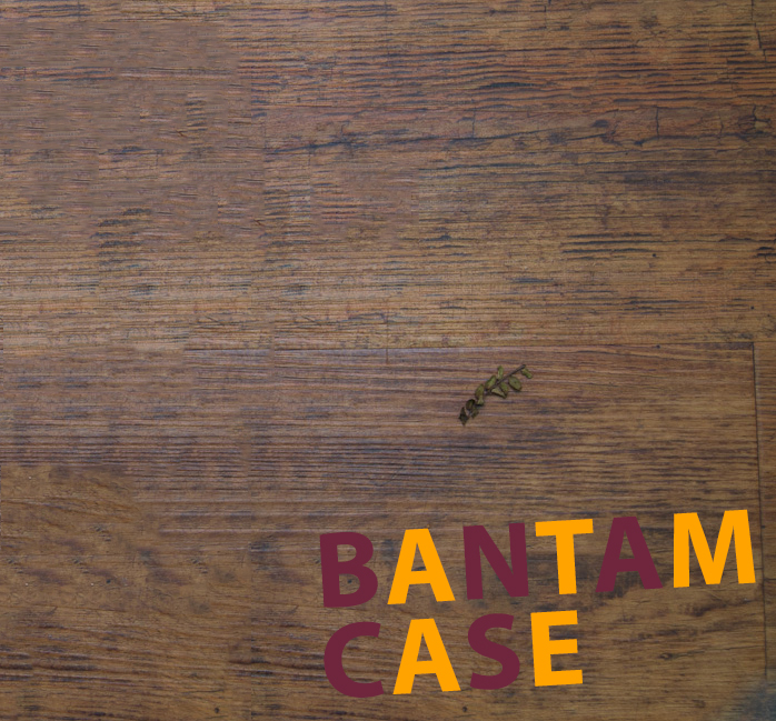 Mixed Case - BANTAM Case Mixed Case - BANTAM Case