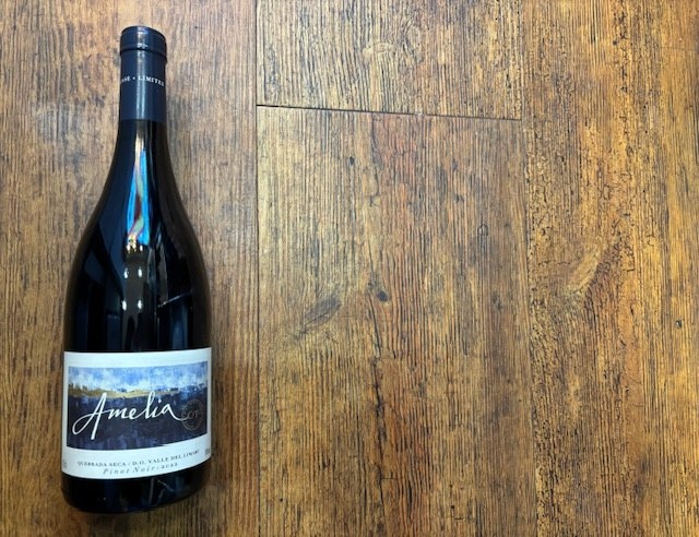 Amelia PINOT NOIR 2022